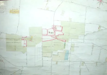Carte d